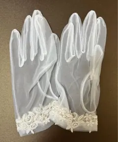 Item thumbnail for item 62cafeb1-8503-4e52-a318-d9a283c34649