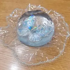 ladodo スクイーズ 蝶々 クリア ブルー ラメ入り