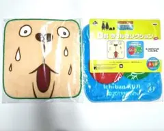 ウサビッチ　ハンドタオルセット