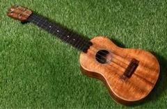 Item thumbnail for item e07378c4-d040-4786-842e-460357a4d9b1