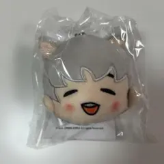 2026年最新】藤澤涼架 ぬいぐるみの人気アイテム - メルカリ