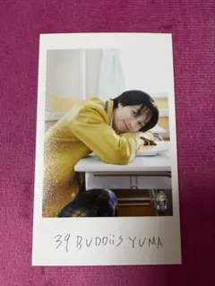 BUDDiiS YUMA ミニフォト