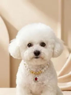 ペット用 パールネックレス 猫犬兼用 可愛い 上品 シンプル