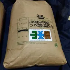 ゲリラ出品 R7 宮城県産 つや姫 精米 24kg 小粒米 ゲリラ出品 R7年産 宮城県産 つや姫 精米13kg - メルカリ