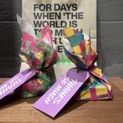 LUSH バスボム 2個セットのサムネイル