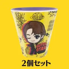 BTS タイニータン メラミンカップ JIN ジン ソクジン 2点セット 公式