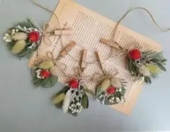 ドライフラワー＊ガーランド＊ミニスワッグ＊クリスマス