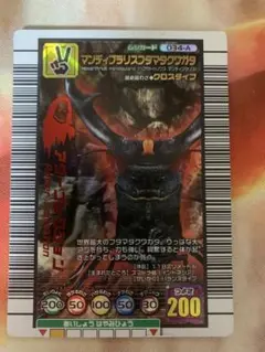 アダーコレクション