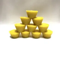 日本蜜蜂の蜜巣から精製した蜜蝋ブロック10個セット