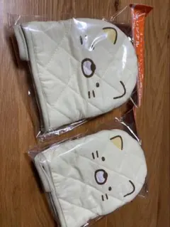 Item thumbnail for item ff24de11-b2e9-4e39-919f-e96c3c73407e