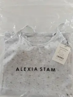 ALEXIA STAM ロゴ入り フリンジビーチタオル バスタオル ブランケット