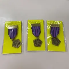 嵐 THE DIGITALIAN メダルブローチ