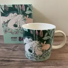 ✨新品・未使用✨ARABIA アラビア　ムーミンの日　マグ　80周年
