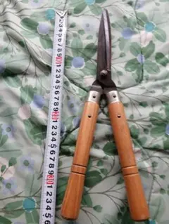 Item thumbnail for item 3ddae242-393b-4194-983a-9f56a4f379b8