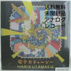 2026年最新】harikuyamakuの人気アイテム - メルカリ