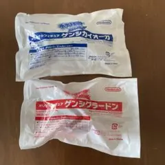 ポケモン オリジナルフィギュア ゲンシグラードン ゲンシカイオーガ　２個セット