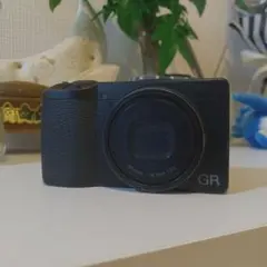 Item thumbnail for item dfc4e9a2-6113-4c3d-9e5f-cdbd96ce2d7d