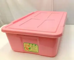 【中古品】トンボ 花嫁衣装凾 新輝合成 ピンク 縦25横43奥行き71昭和レトロ