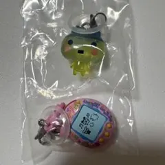 たまごっち　めじるしアクセサリー3 やんぐまめっち　ふぁみたま　ガチャ