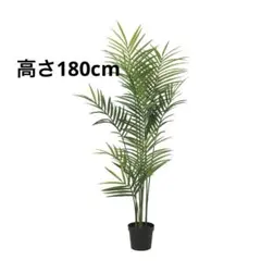 IKEA FEJKA 人工観葉植物 ケンチャヤシ 21cm 8月購入 美品 - メルカリ