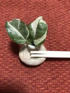 ✨️美品✨おもてなし箸置き 一輪挿し 陶器製 2個セット