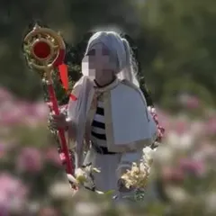 ツイステ フェアリーガラ エーストラッポラ衣装 - メルカリ