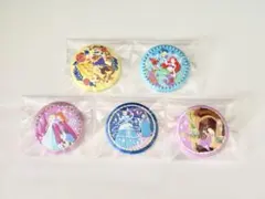 ディズニー　刺繍缶バッジ　第２弾　プリンセス