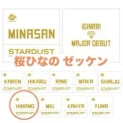 いぎなり東北産 いぎなりメジャーデビュー 桜ひなの　ゼッケン