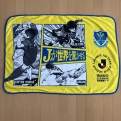 栃木SC フリースブランケット Jリーグ100周年記念 未使用未開封 - メルカリ