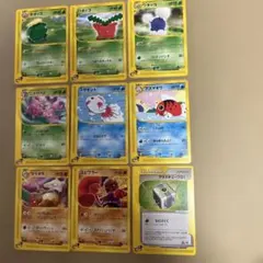 ポケモンカードe38枚ベイリーフ　チコリータ　アーボック　マンキー　バルキー ポケモンカードe38枚ベイリーフ チコリータ アーボック マンキー