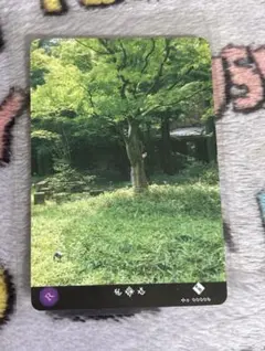 くじら⌘∴⁂様 リクエスト 2点 まとめ商品