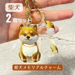 毛だまチャーム キーホルダー 犬 柴犬 記念　メモリアル　2個セット