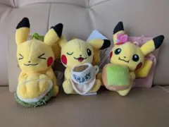 訳あり ポケモンセンター シンガポール限定 海外限定 ポンチョ
