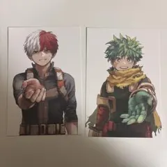 僕のヒーローアカデミア ヒロアカ 最終巻 特典 ポストカード 轟焦凍 緑谷出久