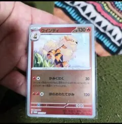 C裏中古41-4/ウインディ/2023年産