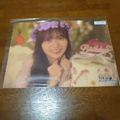 乃木坂46 金川紗耶 ミニポスター 乃木フェス