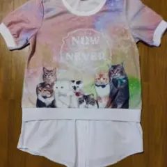 Item thumbnail for item 825bc963-143e-46c4-ac9a-eb0adf7c1394