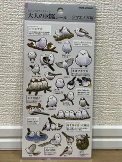 Item thumbnail for item ab08fa74-23ca-4783-b362-150051f7522e