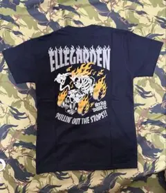 ellegarden ミュージシャン