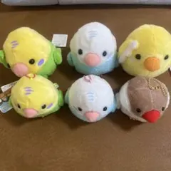 ことり隊　ぬいぐるみまとめ売り ≪12月の新商品≫アミューズプライズーNEW ITEM！☆ことり隊