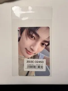 cortis ユニバ ゴンホ