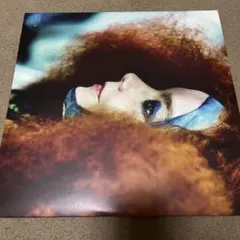 2025年最新】ビョーク レコードの人気アイテム - メルカリ