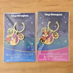 東京ディズニーランド 三井不動産貸切イベント 2024お土産 キーホルダー