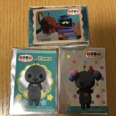 教育番組　タマセット　はかせセット　特典付き 教育番組 - Search / X