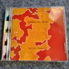 Ryuichi Kawamura Cranberry Soda