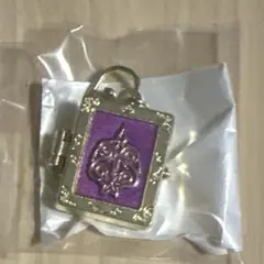 ディズニーストア　ロケットチャームキーチェーン ラプンツェル