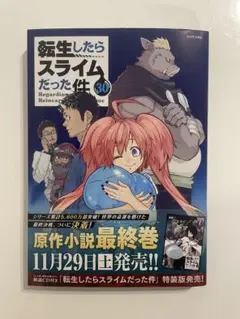 転生したらスライムだった件(30)