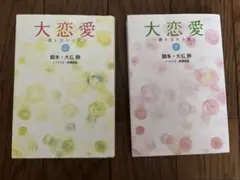 大恋愛 上下巻セット