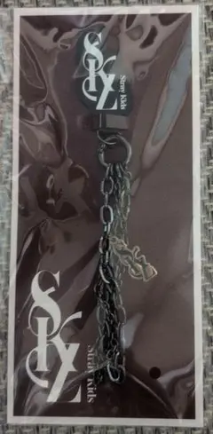 2025年最新】STRAYkids ポップアップ キーホルダーの人気アイテム