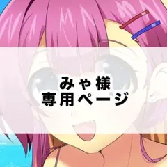 みゃ様 専用ページ